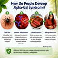 how-alpha-gal-syndrome-is-contracted