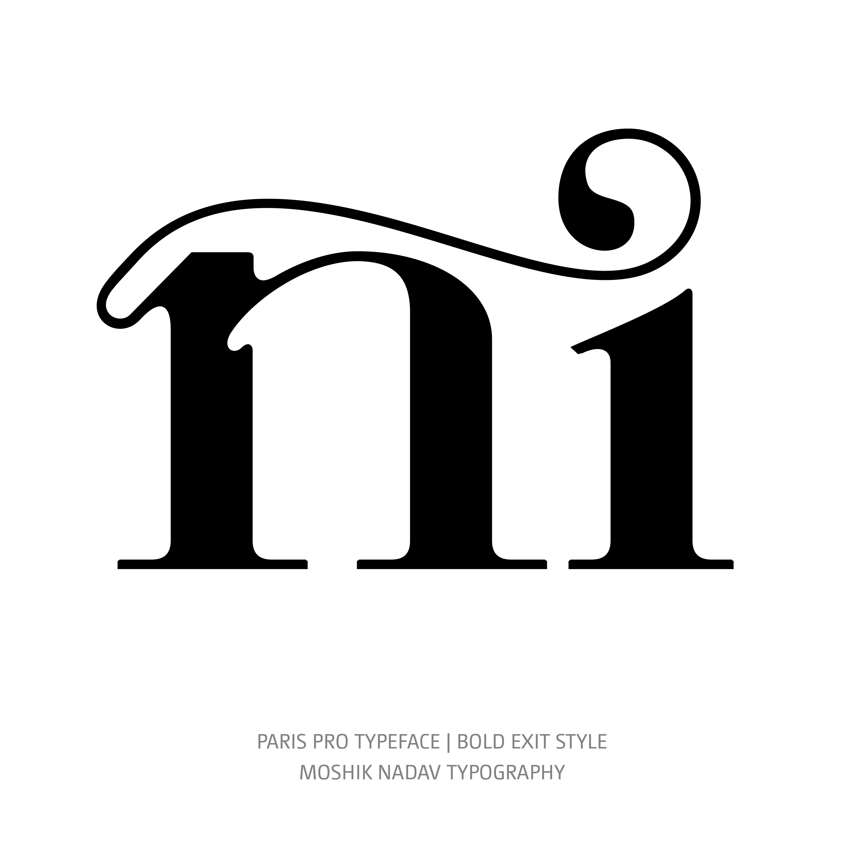 Paris Pro Typeface Bold Exit ni ligature