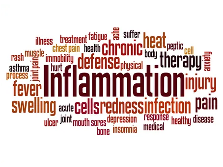The Role Inflammation and Inflammatory Foods Have on Our Mental Well-being