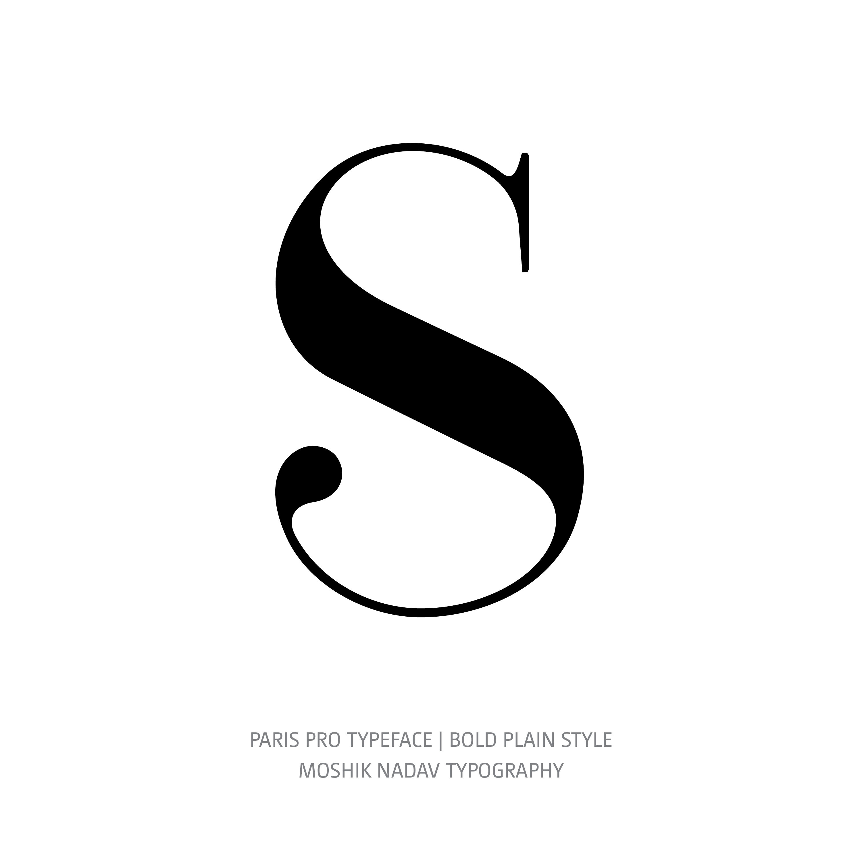 Paris Pro Typeface Bold Plain S