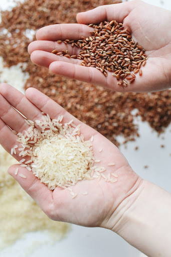Hands cupping grains of rice and seeds - Photo by Polina Tankilevitch from Pexels