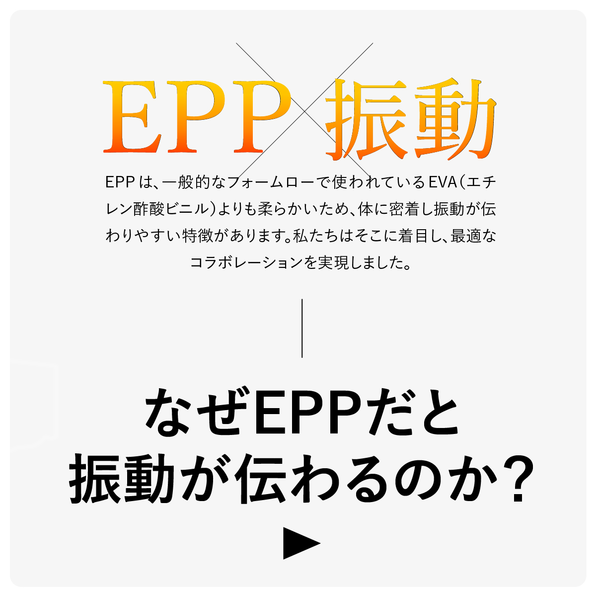 EPP×振動