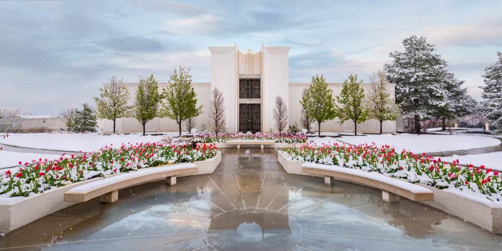 Denver Temple and red flowerbeds surrounded by snow. 