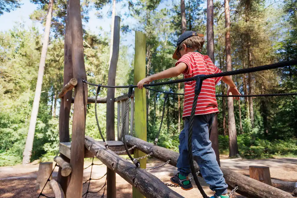 Forest playgrounds 