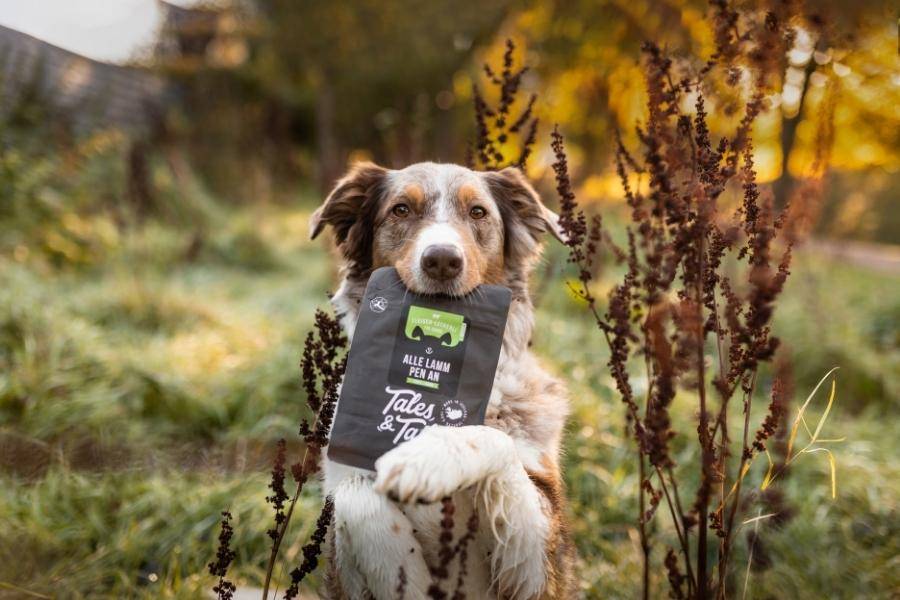 Hundebedarf Tales & Tails