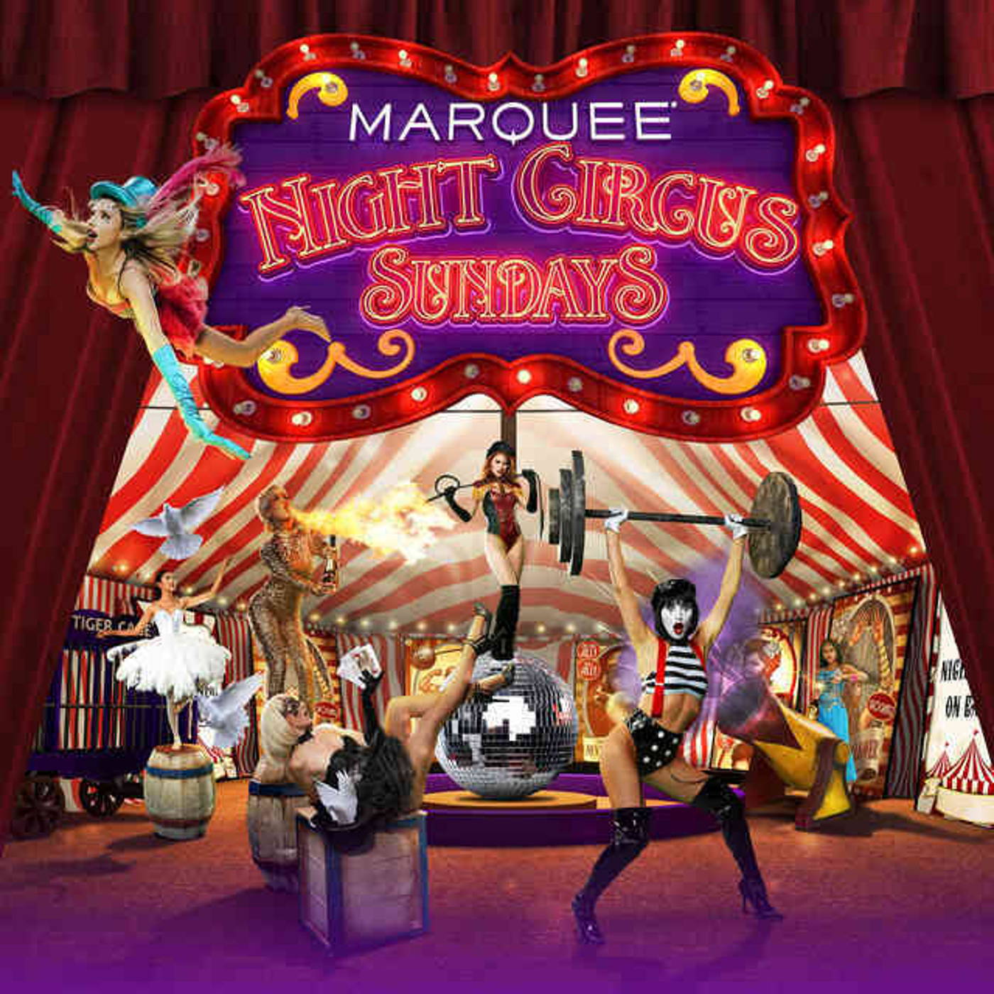 DJ Five - Night Circus Las Vegas