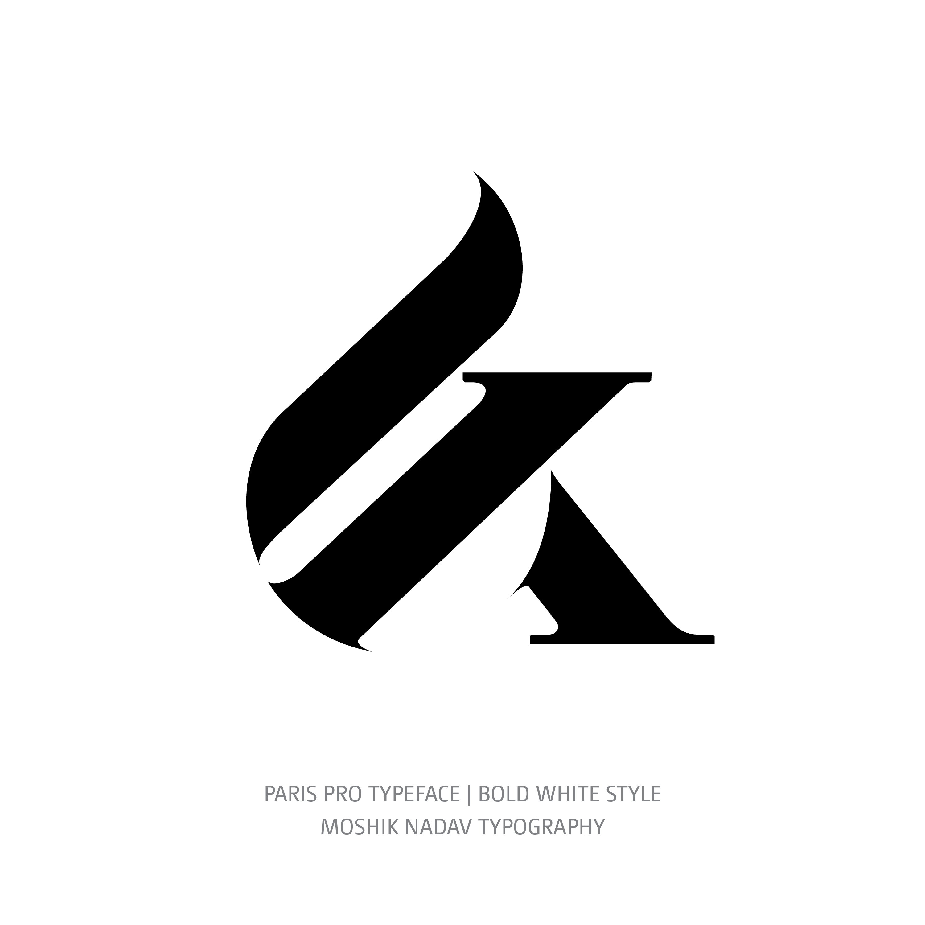 Paris Pro Typeface Bold White ampersand