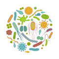 Prebiotics and Probiotics | The Milky Box