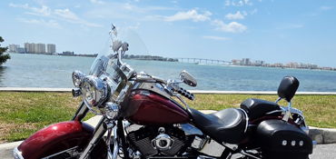2009 HARLEY-DAVIDSON FLSTN SOFTAIL DELUXE (CSTM PAINT) motorcycle for rent near Clearwater, FL