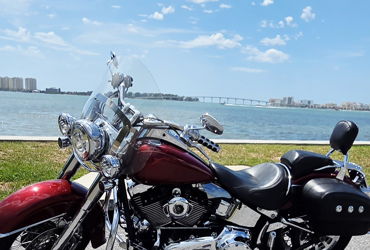 2009 HARLEY-DAVIDSON FLSTN SOFTAIL DELUXE (CSTM PAINT) motorcycle for rent near Clearwater, FL