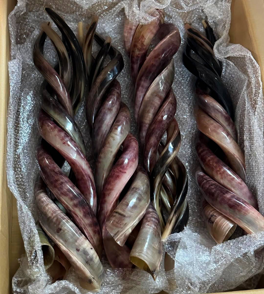 Wholesale Kudu shofar horns and polished yemenite
