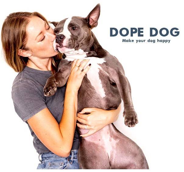 Make Your Dog Happy with Dope Dog