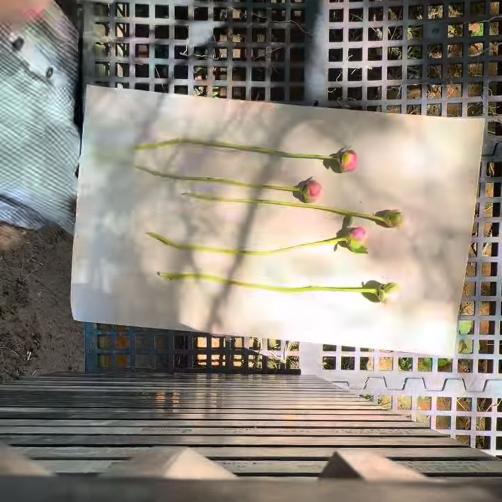 Main Content Image