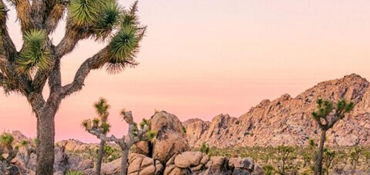 2-Day Motorcycle Tour: LA – Big Bear – Joshua Tree – LA near Pasadena, CA