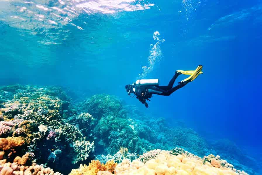 Kemer Diving with Expert Diving Option - photo 1