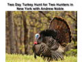 Two Day and Two Night New York State Eastern Turkey Hunt for Two Hunters