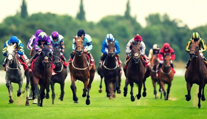 horse racing trifecta