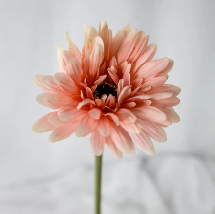 Pale Pink Real Touch Gerberas - Realistic Artificial Flowers