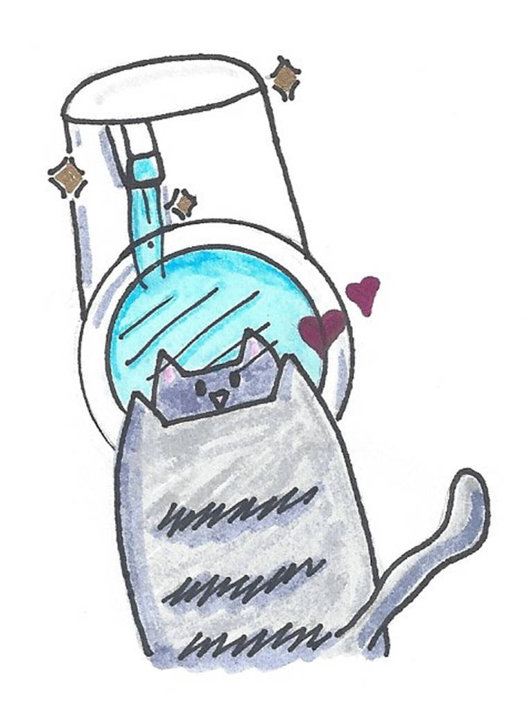 Cat water fountain fresh water cat is happy
