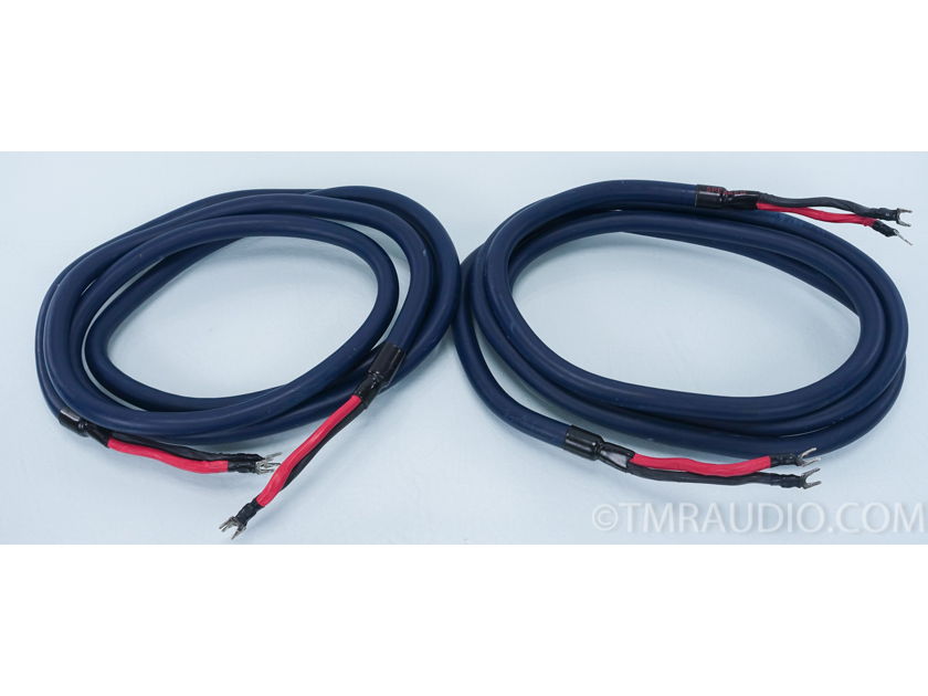 Audioquest  AudioTruth Clear + Hyperlitz Speaker Cables; 10ft Pair (6658)