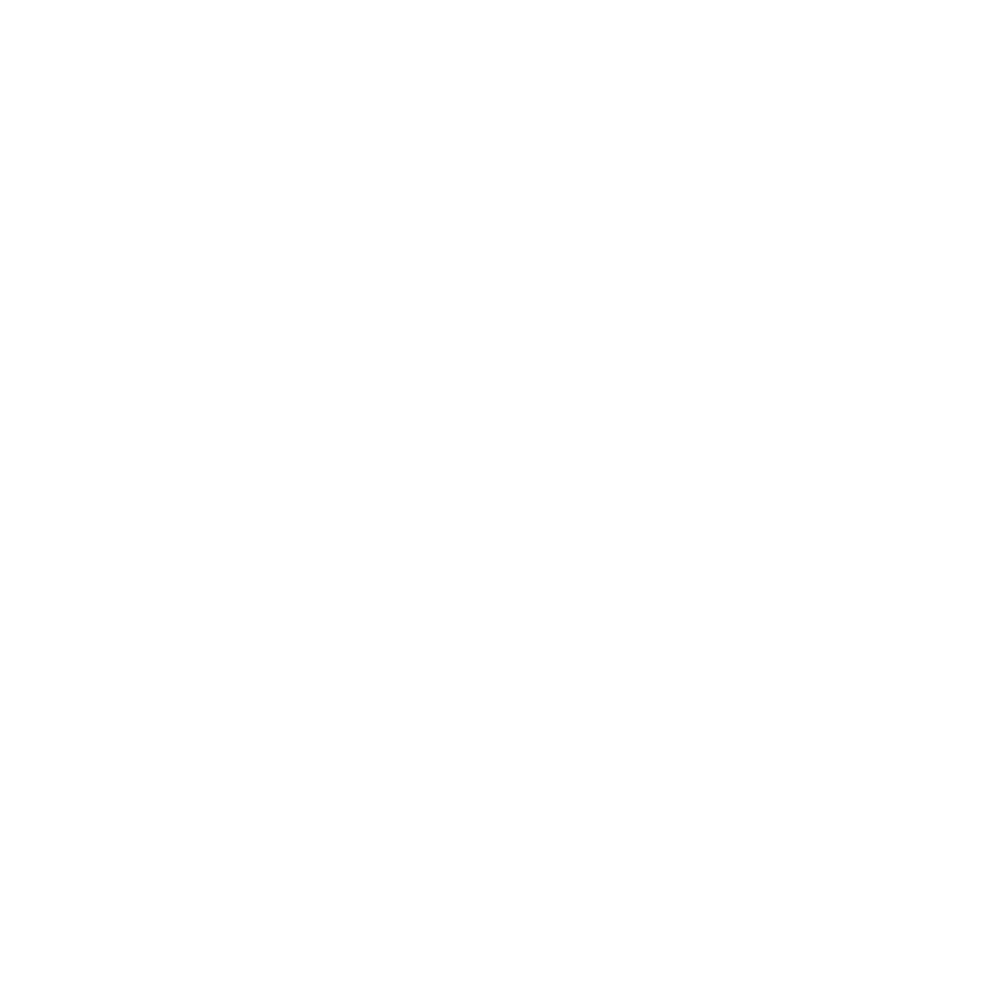 Accelerate icon