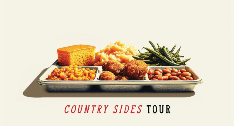 The Band of Heathens Country Sides Tour