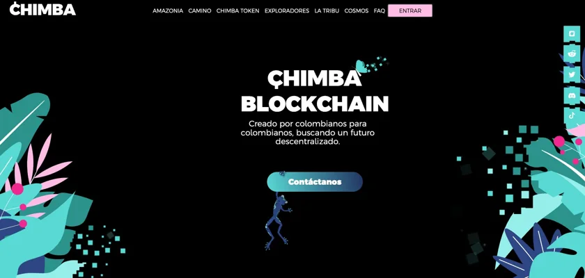 Badbunniez NFTs on CHIMBA Blockchain