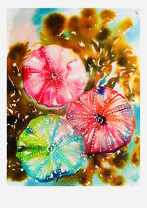 Kråkeboller kunstprint A3