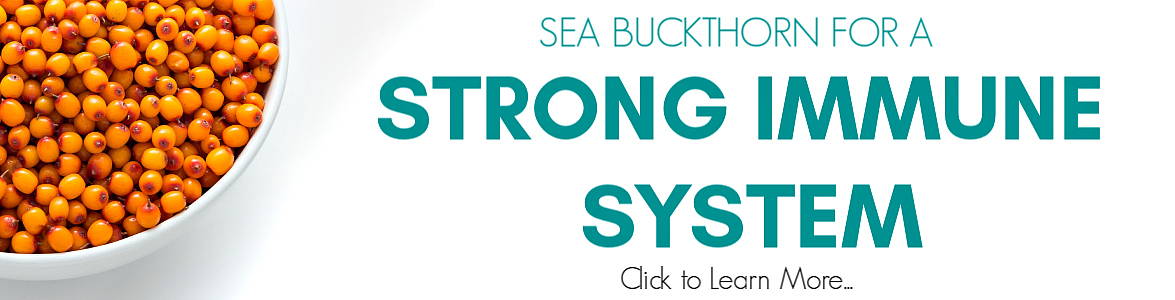 Sea Buckthorn for a Strong Immune System Click to Learn More