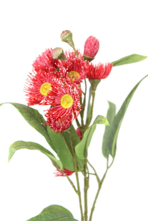 Dark Pink Gum Blossom Stem - Realistic Artificial Flowers