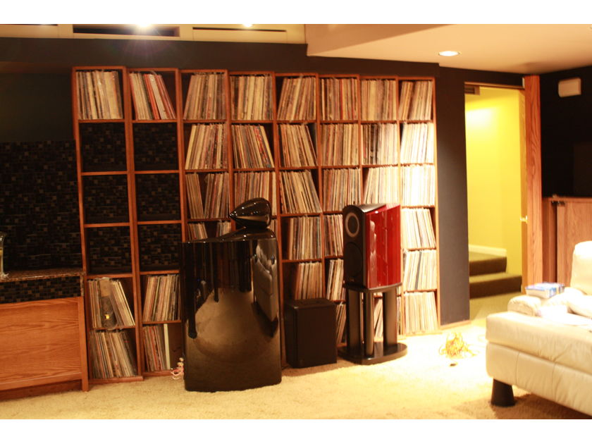 Custom LP and CD Cabinets Oak Plywood