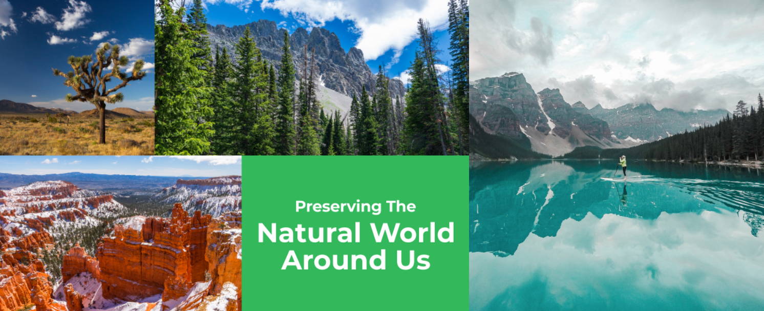A collage of images of natural environments across the Earth. A green block centers the collage with text that reads "Preserving The Natural World Around Us."