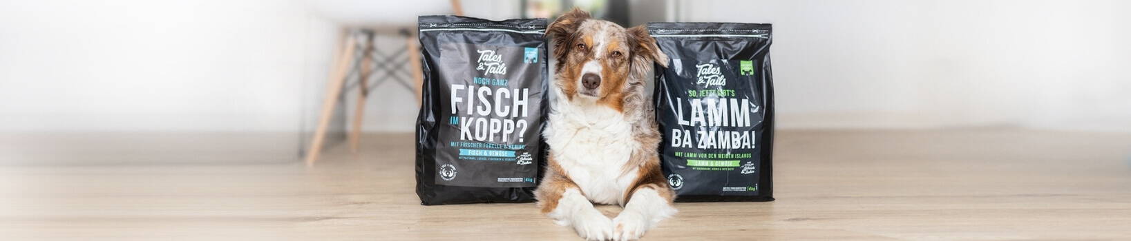 Trockenfutter für Hunde