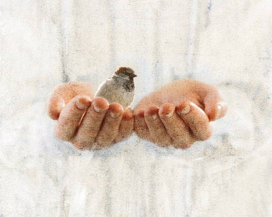 A small sparrow cupped in Jesus hands.