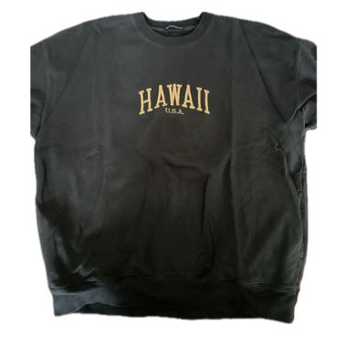 brandy melville „hawaii“ sweatshirt