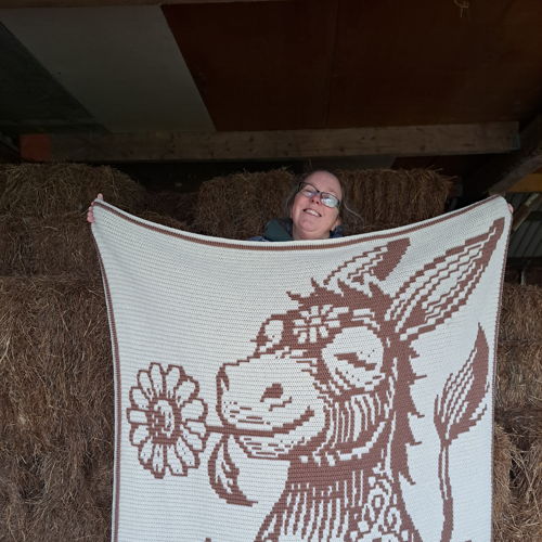 Donkey Daisy | Overlay Mosaic Crochet Blanket PDF Pattern