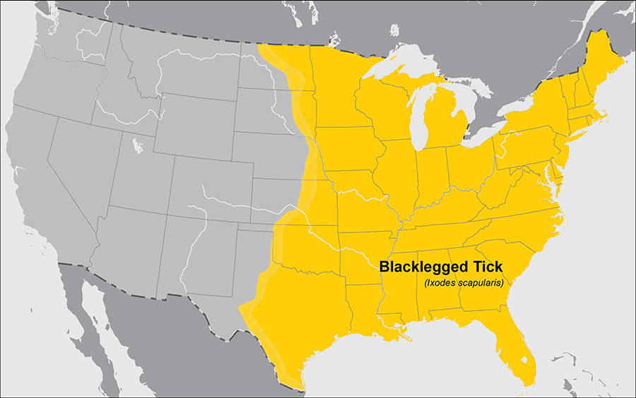 blacklegged tick map of the states