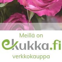 Kai Ervasti