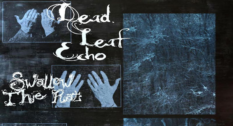 Dead Leaf Echo, Swallow the Rat and Missing