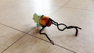 fruehes forschen langenfeld