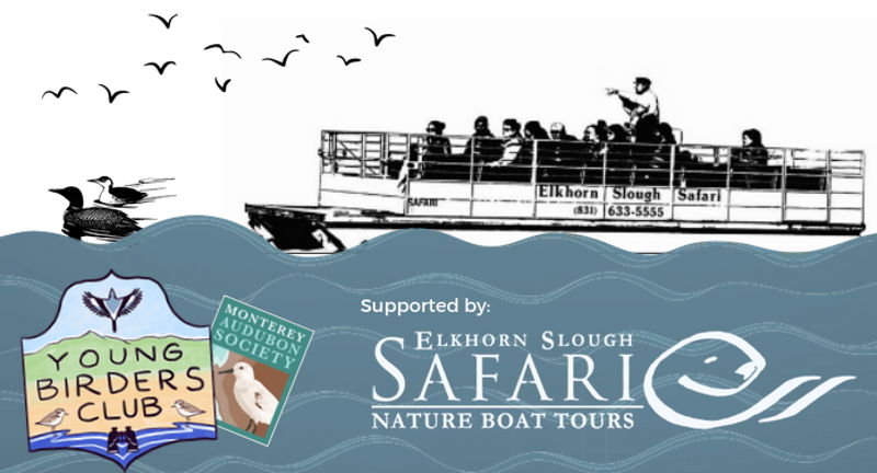 Young Birders Club Elkhorn Slough Safari Boat Trip