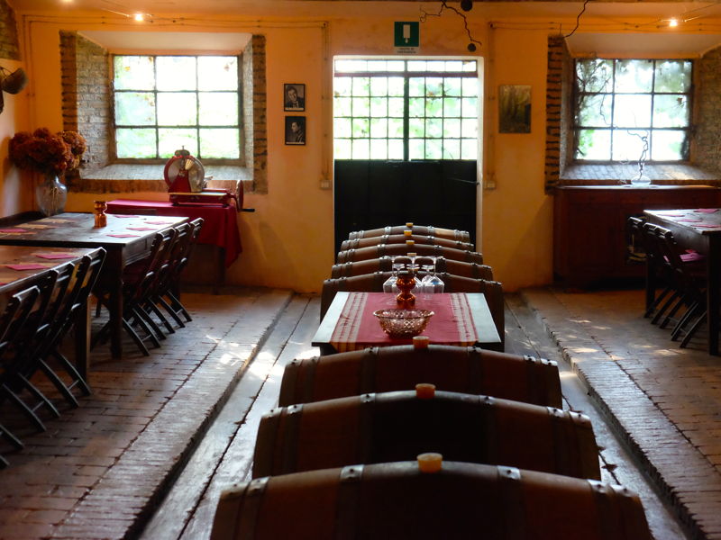 Tour enogastronomici Montecchio Emilia: Montecchio Emilia: Visita dei vigneti e degustazione 5 vini 