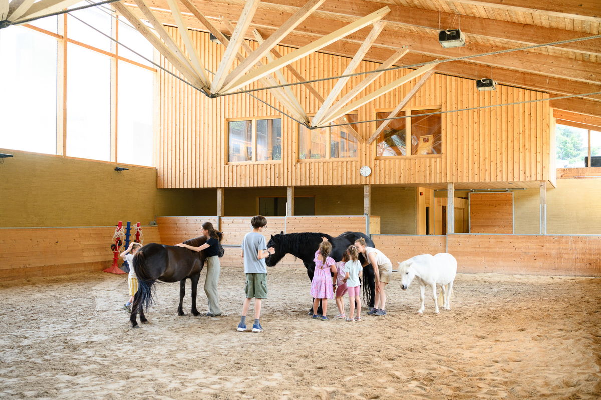 Führung Unsere Pferde hautnah erleben