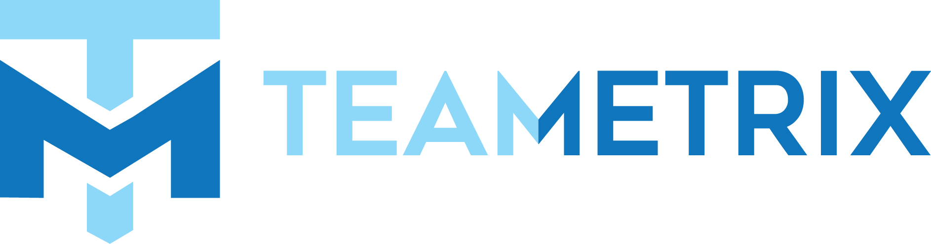 Teametrix logo