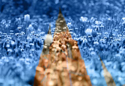 Режим смешивания слоев программы Фотошоп