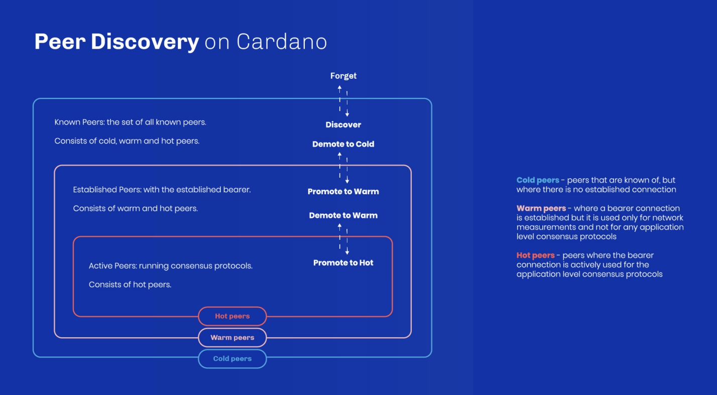 Peer discovery on Cardano