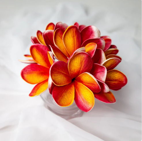 Tropical Frangipani Flowerhead (6 Pack) - Realistic Artificial Flowers - Image 6