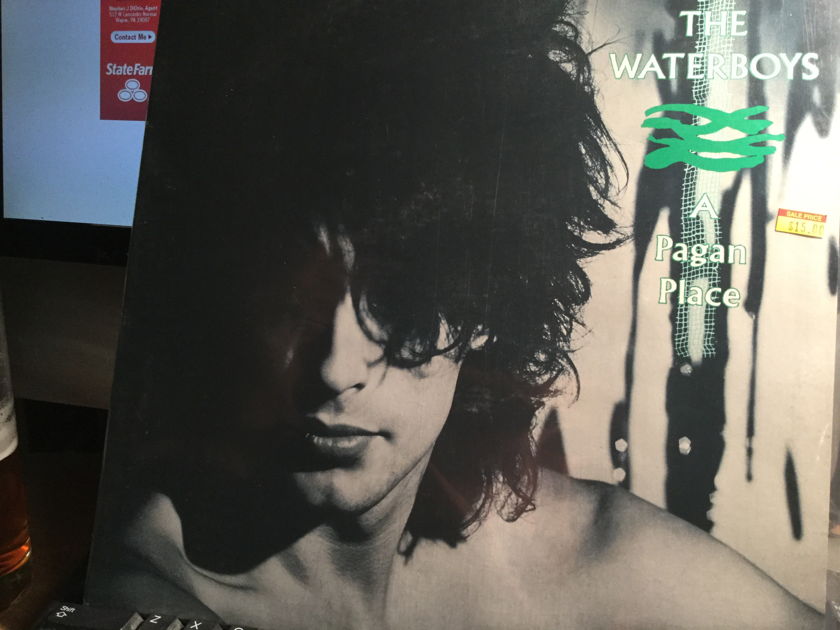THE WATERBOYS - A PAGAN PLACE