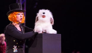 zauberin pippa pelina