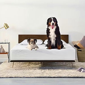Mattress Fund
